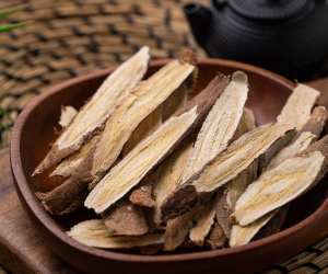 herbs for immune health