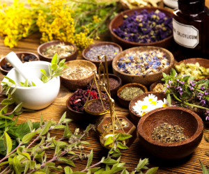 herbs for immune support and hormone health
